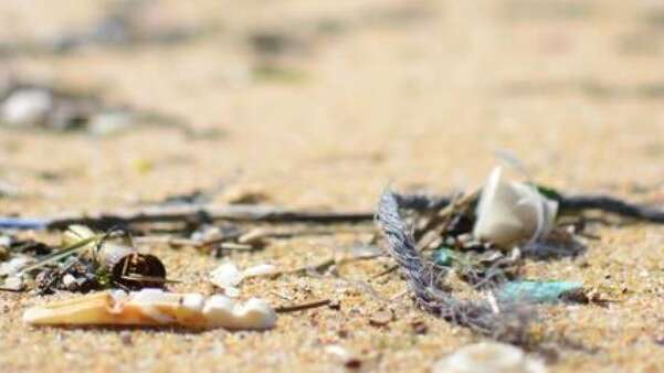 Grande chasse aux déchets