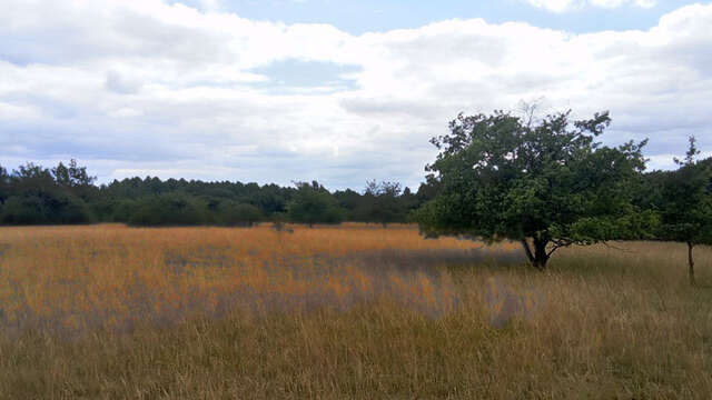 Sentier de balade de la Réserve naturelle de Marolles