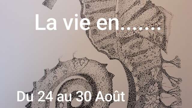 Exposition : Stephane Thery "La vie en ..."