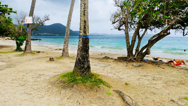 Plage de Gros-Raisin