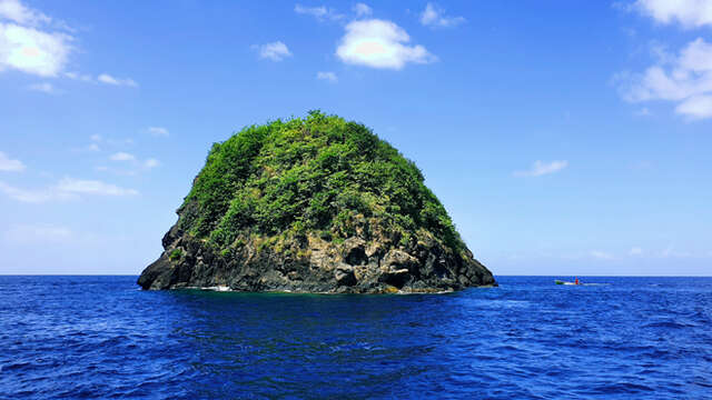 Réserve Marine A.Falco (ZRN1)