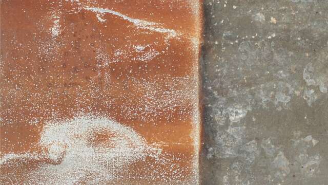 Exposition : Eric Vigneron