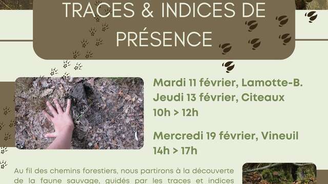 Traces & indices de présence