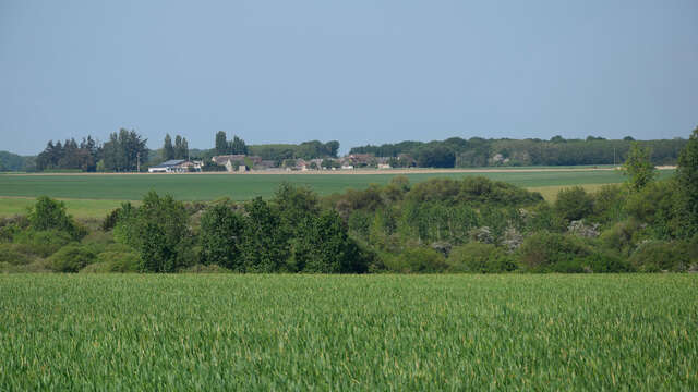 Randonnée équestre en petite Beauce