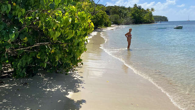 Plage de l'Anse Caritan 1