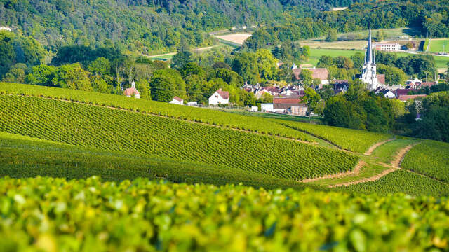 Route touristique du Champagne de la Cote des Bar