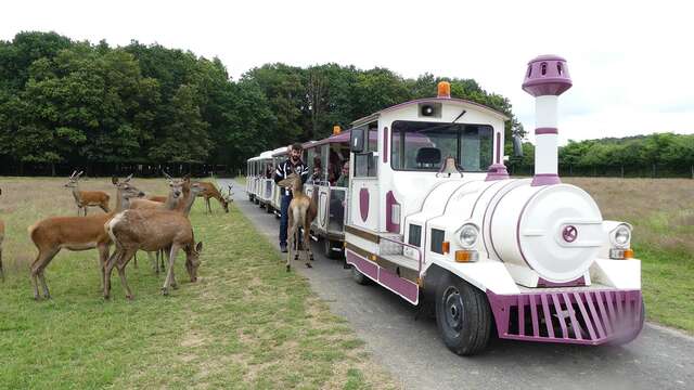 Safari Train - Réserve de Beaumarchais