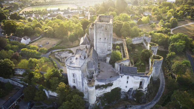 Cité royale de Loches