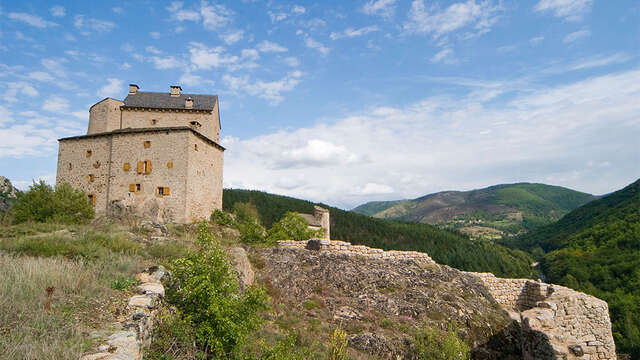 CHATEAU DU MIRAL