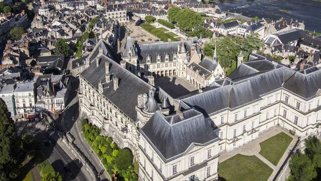 Visites découvertes du château royal de Blois