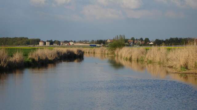 Rando : Les bords de Loire de Saint-Claude de Diray