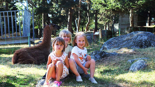 FERME LA TOISON D'OR