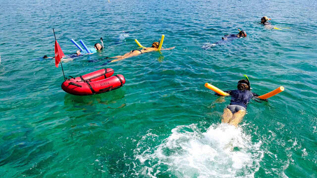 Les Aquanautes - Martinique Snorkeling