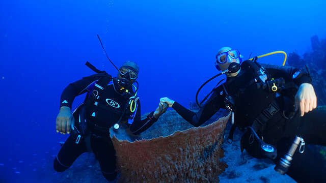 A Papa D'lo Plongée Martinique