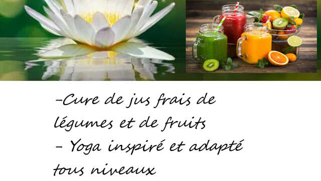 Stage Détox Yoga