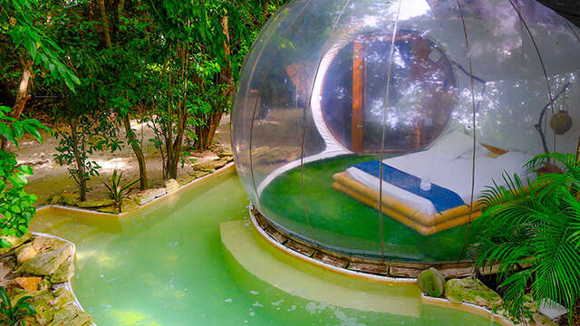 LE DOMAINE DES BULLES