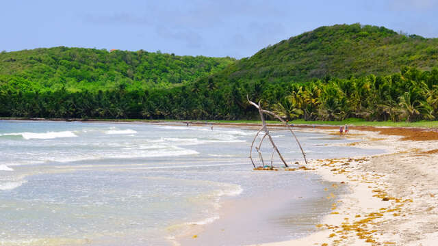Plage de Grand Macabou