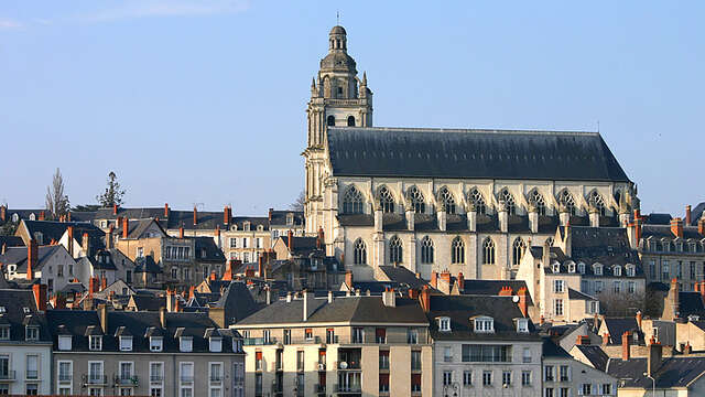 Cathédrale Saint-Louis