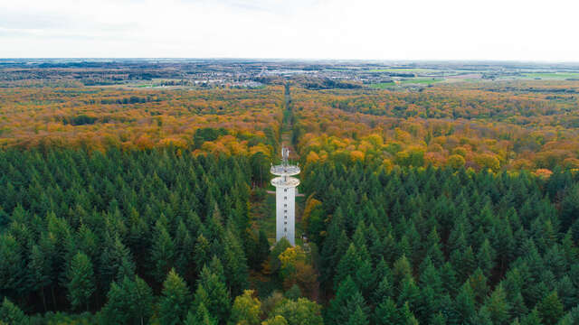 Le mur du parc à V.T.T.