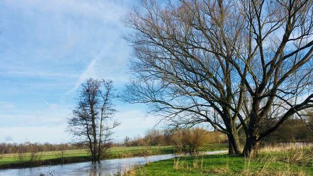 Les rayères de l'Oise