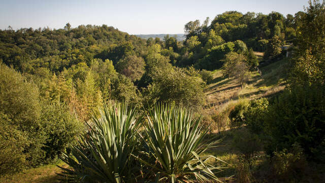 Le panorama des creuttes