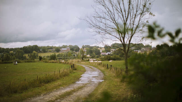 Le bocage de Mondrepuis