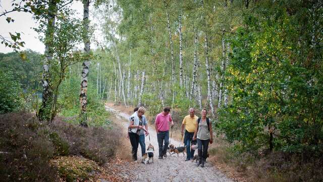 Le Parc des Bruyères