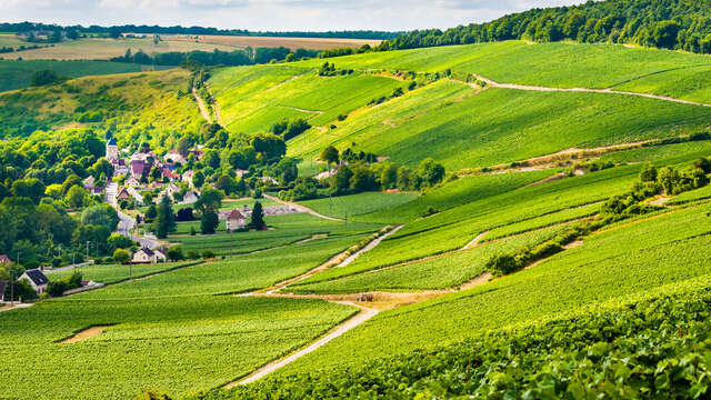 L'Aisne à vélo : des fables et du Champagne