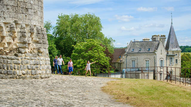 Châteaux du Tardenois