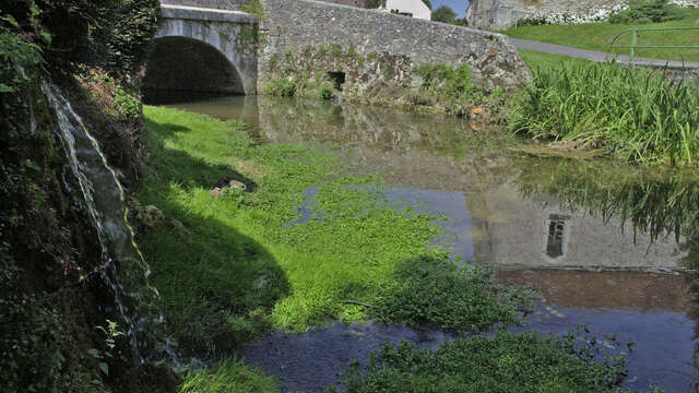 Le vallon de la Verdonnelle