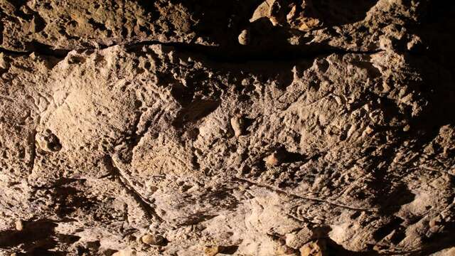 Grotte de Bara Bahau - Le Sanctuaire de l'Ours