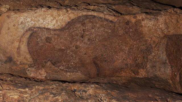 Grotte de Font-de-Gaume