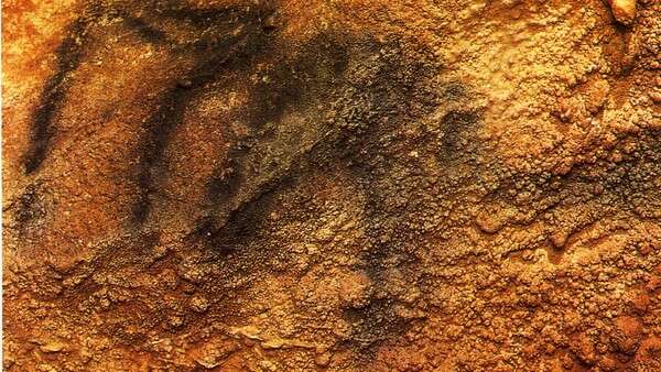 Grotte Préhistorique des Merveilles