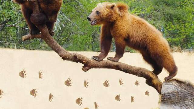 Site Néandertal de Regourdou