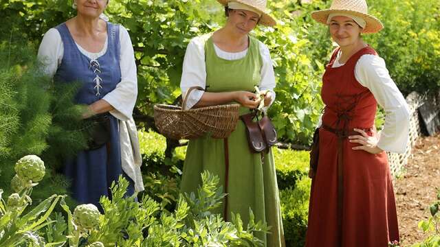 Visite "Vertus et usages des plantes médiévales"