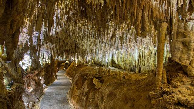 Grotte de Domme