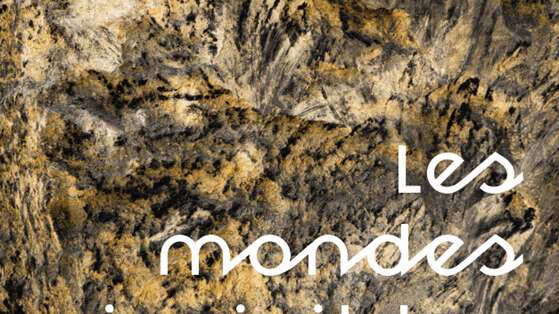 Exposition - Les mondes invisibles de Aurélien Mauplot