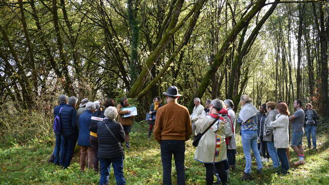 Festival Résurgence VIII - Visite guidée "Cauvaldor Tour"