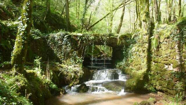 Le sentier des sources