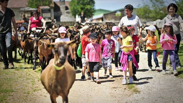 Visite Guidée de la Ferme La Borie d'Imbert