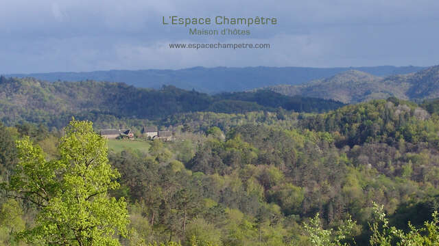 L'Espace Champêtre - Chambre champêtre