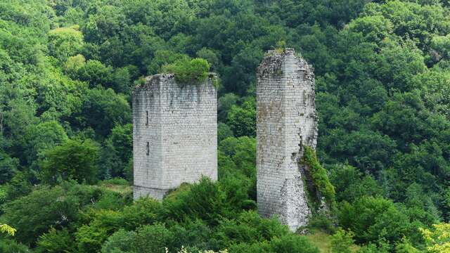 Les Tours de Carbonnières