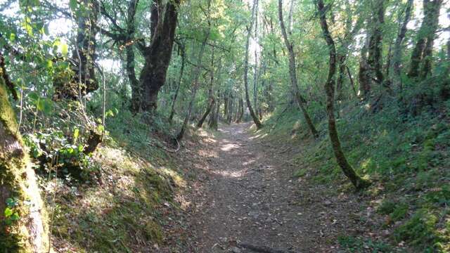 GRP Midi Corrézien - boucle Noailhac - VTT