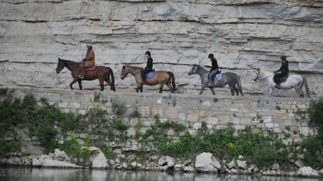 Ferme Equestre Cheval Rando Equitation