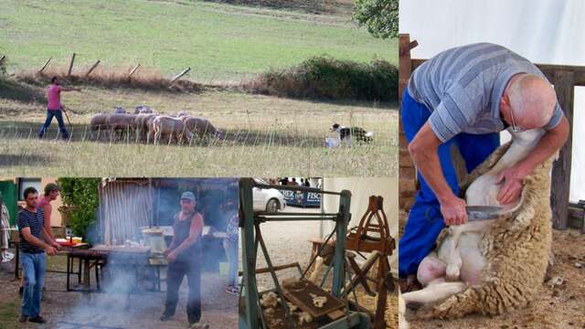 Fête de l'agneau