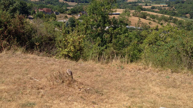 Le sentier de Beyssin