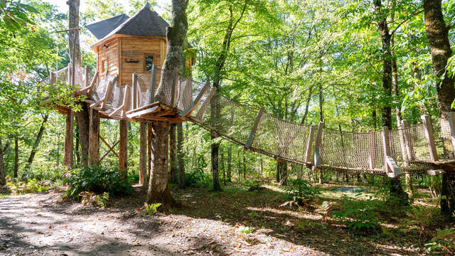 Nid'en'Ô Les Cabanes dans les Arbres