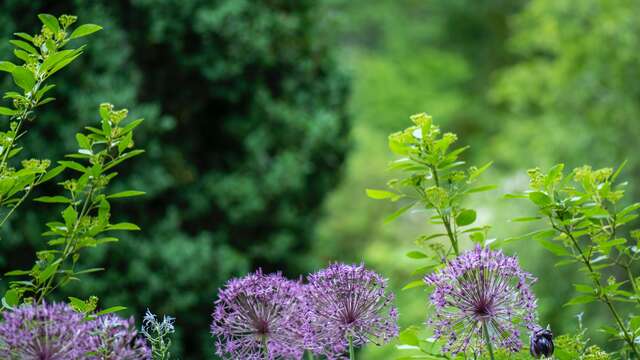 Rendez-vous au Jardin