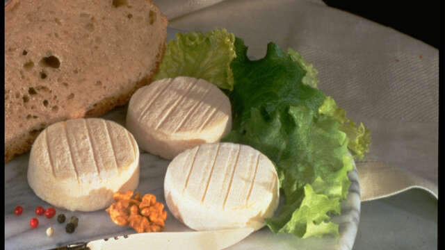 Fête des fromages et du Rocamadour AOP