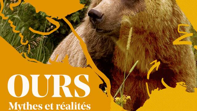 VISITE COMMENTÉE DE L'EXPOSITION TEMPORAIRE : OURS,MYTHES ET RÉALITÉS